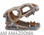 Czaszka dinozaura 10 cm