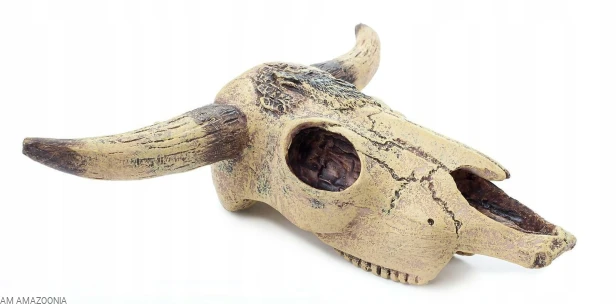 Czaszka bizona 12 cm