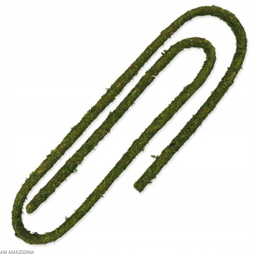 Repti Planet Liana z mchem do terrarium 200 cm/2 cm