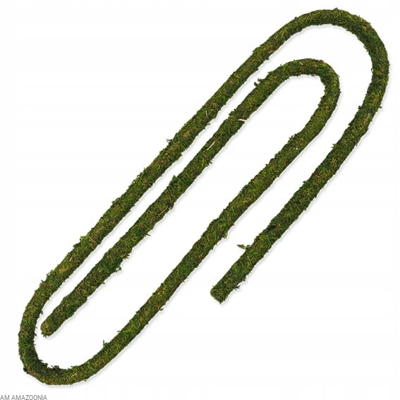 Repti Planet Liana z mchem do terrarium 200 cm/2 cm