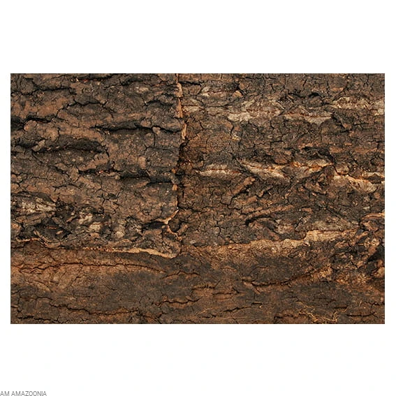 Repti Planet Tło z naturalnego korka do terrarium 30x30 cm