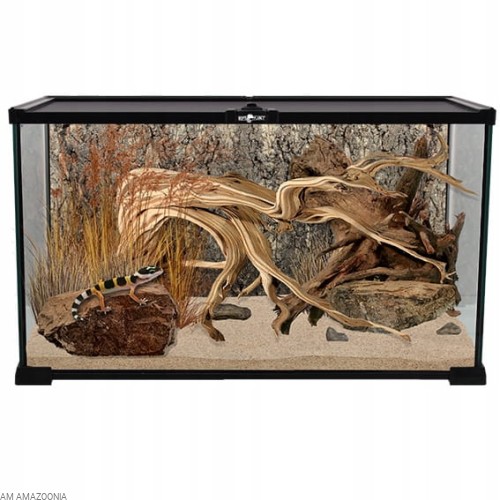 Repti Planet szklane Terrarium 50 x 30 x 25 cm