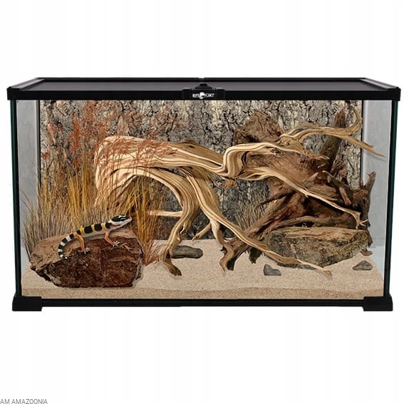 Repti Planet szklane Terrarium 50 x 30 x 25 cm