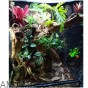 Trzykrotka ciemna zieleń 32 cm