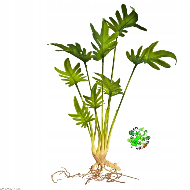 AM AMAZOONIA Philodendron z korzeniami, wystrój terrarium, Filodendron 47cm