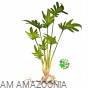 AM AMAZOONIA Philodendron z korzeniami, wystrój terrarium, Filodendron 47cm
