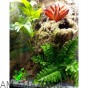 AM AMAZOONIA Philodendron z korzeniami, wystrój terrarium, Filodendron 47cm