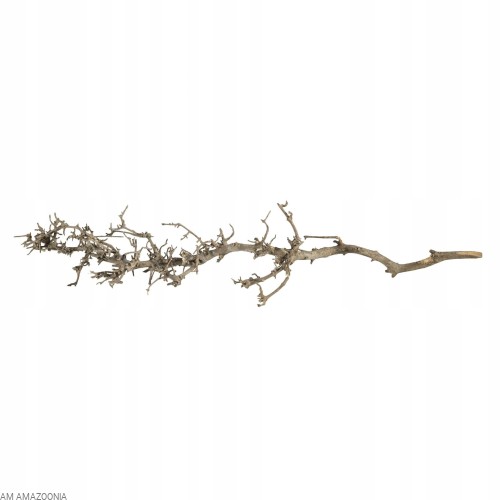 Korzeń Południowy do terrarium i akwarium S 25-35 cm