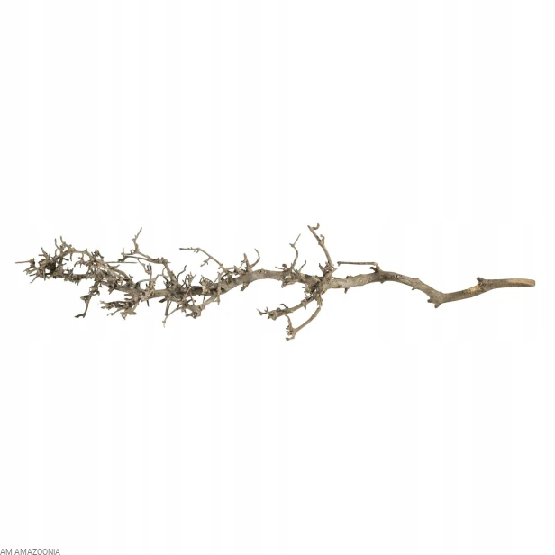 Korzeń Południowy do terrarium i akwarium S 25-35 cm