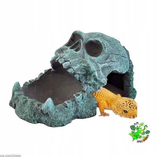 Terra Natura Kryjówka Czaszka z miską na pokarm, wodę ok 19 cm
