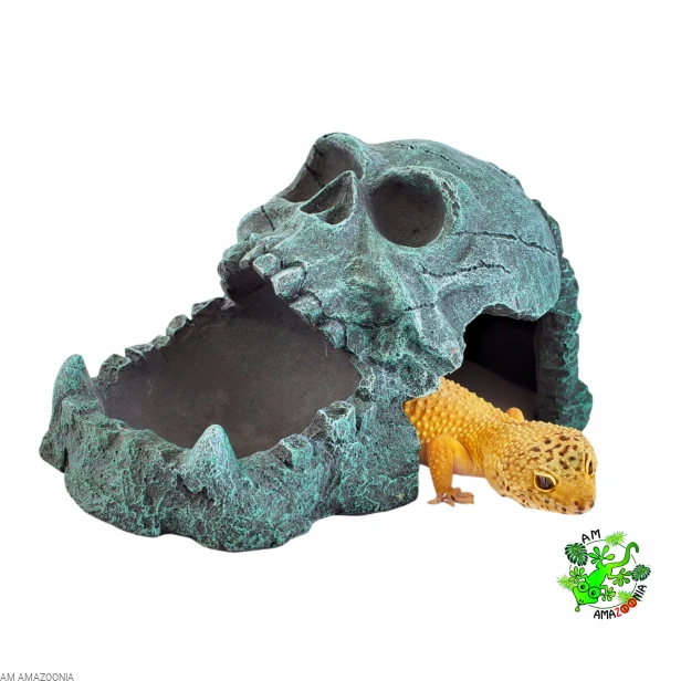 Terra Natura Kryjówka Czaszka z miską na pokarm, wodę ok 19 cm