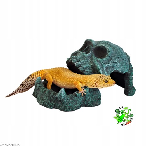 Terra Natura Kryjówka Czaszka z miską na pokarm, wodę ok 19 cm