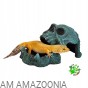 Terra Natura Kryjówka Czaszka z miską na pokarm, wodę ok 19 cm