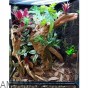 Trzykrotka odcień różowy 32 cm