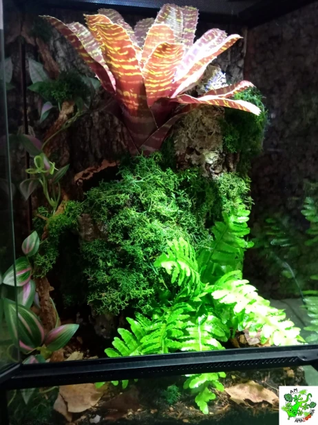 Exotic Hobby Podłoże dla gekona orzęsionego 3 L