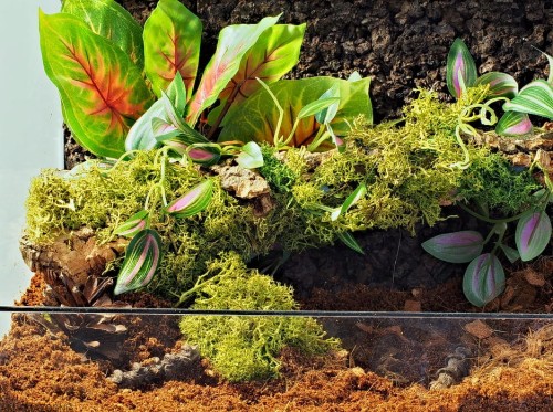 Sztuczna roślina stojąca wystrój terrarium 23 cm