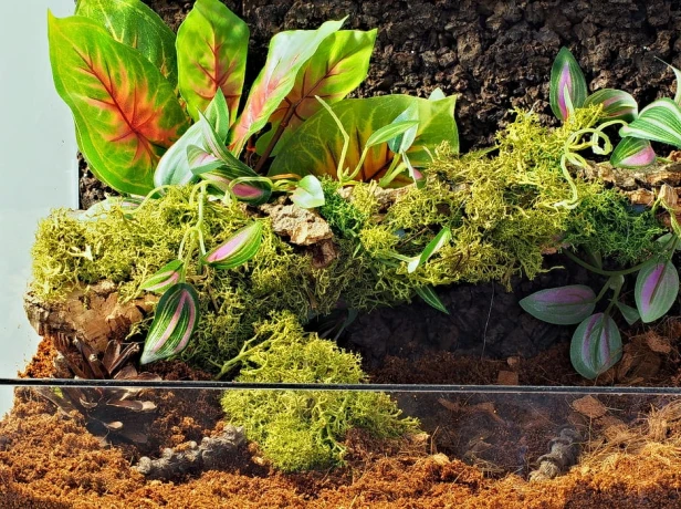 Sztuczna roślina stojąca wystrój terrarium 23 cm