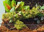 Sztuczna roślina stojąca wystrój terrarium 23 cm