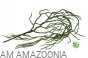 Korzenie storczyka zwis wystrój terrarium 78 cm