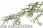 Korzenie storczyka zwis wystrój terrarium 78 cm