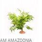 Terra Natura Dekoracja terrarystyczna Sztuczna roślina na podstawce 30 cm
