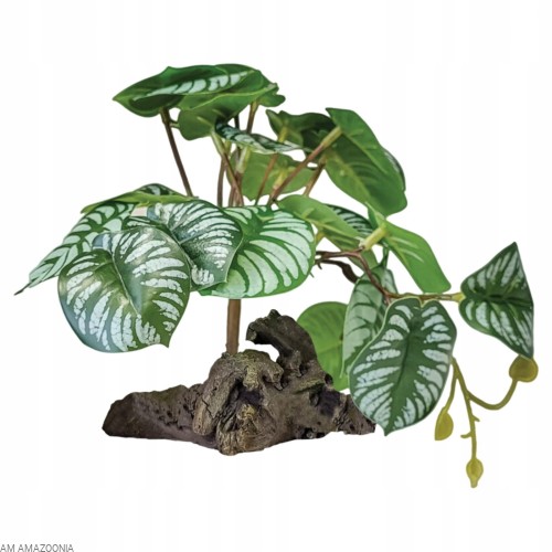 REPTO Stojąca roślina BEGONIA REALISTYCZNA ozdoba terrarium 23 x 19 cm
