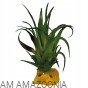 REPTO PLANT TILLANDSIA Sztuczna mini oplątwa na podstawce do terrarium 6x7