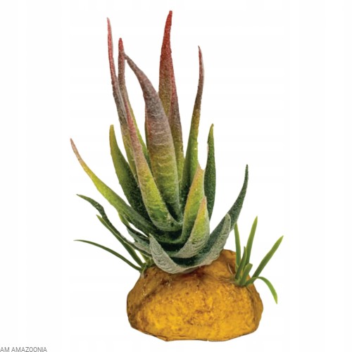 REPTO PLANT ALOE RED Sztuczny aloes, sukulent do terrarium MINI 6 x 11 cm