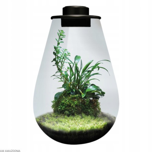 BIO ART Las w słoiku PREMIUM + oświetlenie LED wspomagające wzrost roślin