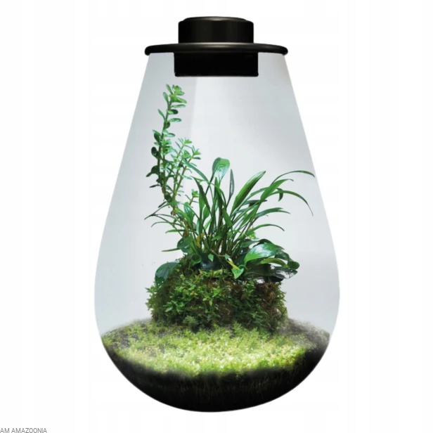 BIO ART Las w słoiku PREMIUM + oświetlenie LED wspomagające wzrost roślin