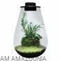 BIO ART Las w słoiku PREMIUM + oświetlenie LED wspomagające wzrost roślin