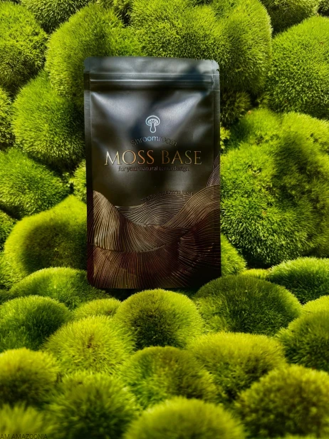 MOSS MIX + Moss Base Mix zarodników mchów i paproci - Gotowy zestaw