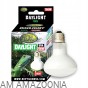Żarówka grzewcza UVA - Reptile Nova Daylight 100W
