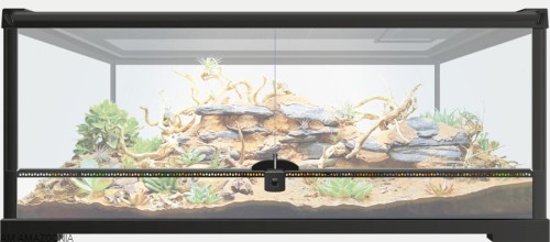 REPTO TERRA EARTH Terrarium PREMIUM dla gekona lamparciego 76x30x30 cm