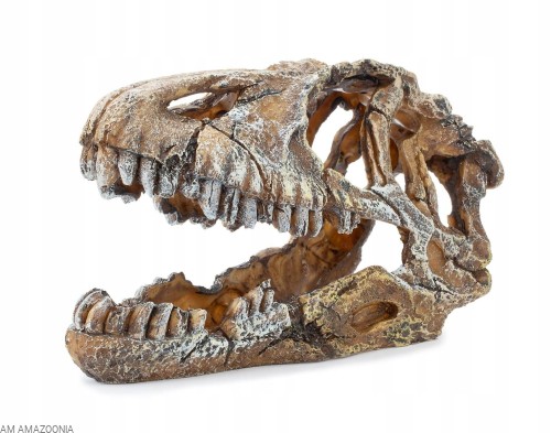 Kryjówka ozdoba terrarium czaszka dinozaura 22 cm