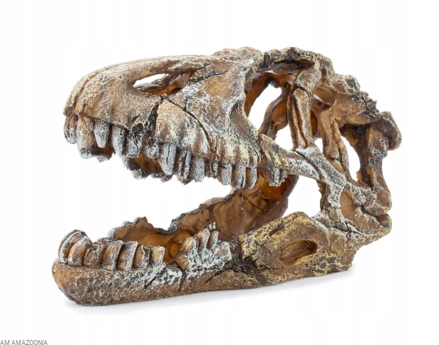 Kryjówka ozdoba terrarium czaszka dinozaura 22 cm