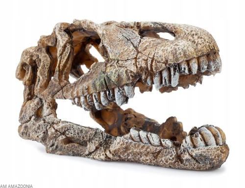 Kryjówka ozdoba terrarium czaszka dinozaura 22 cm