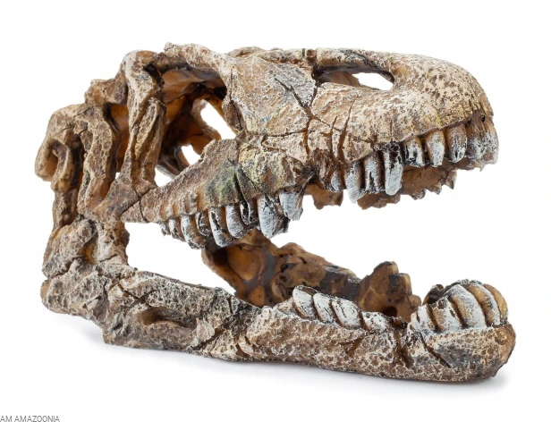 Kryjówka ozdoba terrarium czaszka dinozaura 22 cm
