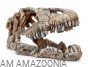 Kryjówka ozdoba terrarium czaszka dinozaura 22 cm