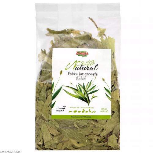 ALEGIA Babka lancetowata , Naturalny pokarm dla gadów, żółwi 100 g