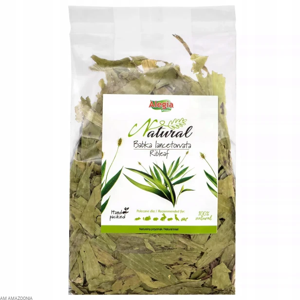 ALEGIA Babka lancetowata , Naturalny pokarm dla gadów, żółwi 100 g