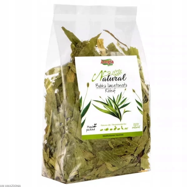 ALEGIA Babka lancetowata , Naturalny pokarm dla gadów, żółwi 100 g