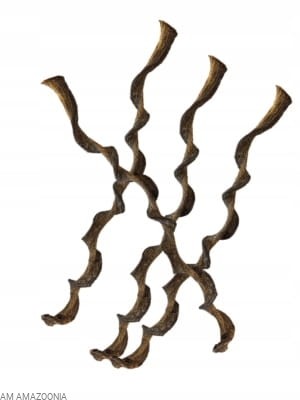 REPTO JUNGLE WOOD Liana do terrarium tropikalnego dla kameleona gekona 95cm