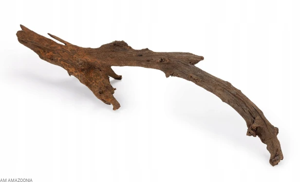 Korzeń mangrowca do terrarium, akwarium Mangrowiec L 70-90cm
