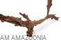AM AMAZOONIA Korzeń mangrowca do terrarium, akwarium Mangrowiec 50 - 60 cm
