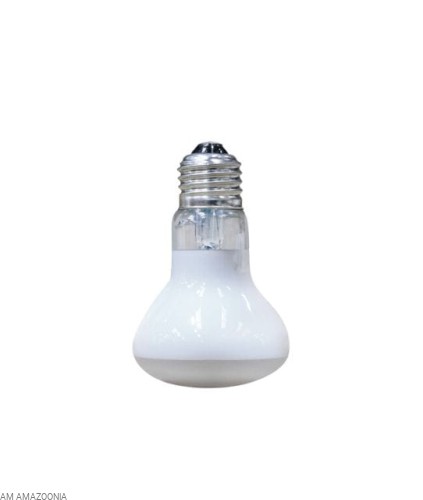 ARCADIA FLOODLIGHT - Żarówka grzewcza dla gadów 75W