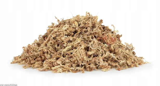 Mech torfowiec Sphagnum moss dla żaby rogatej, ukorzeniania roślin 5kg