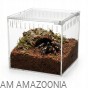 Terrarium akrylowe zamykane na magnes dla ptasznika 13 x 11 x 12 cm