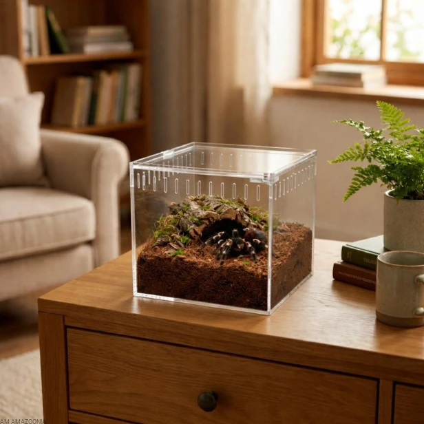 Terrarium akrylowe zamykane na magnes dla ptasznika 13 x 11 x 12 cm