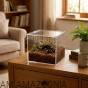 Terrarium akrylowe zamykane na magnes dla ptasznika 13 x 11 x 12 cm